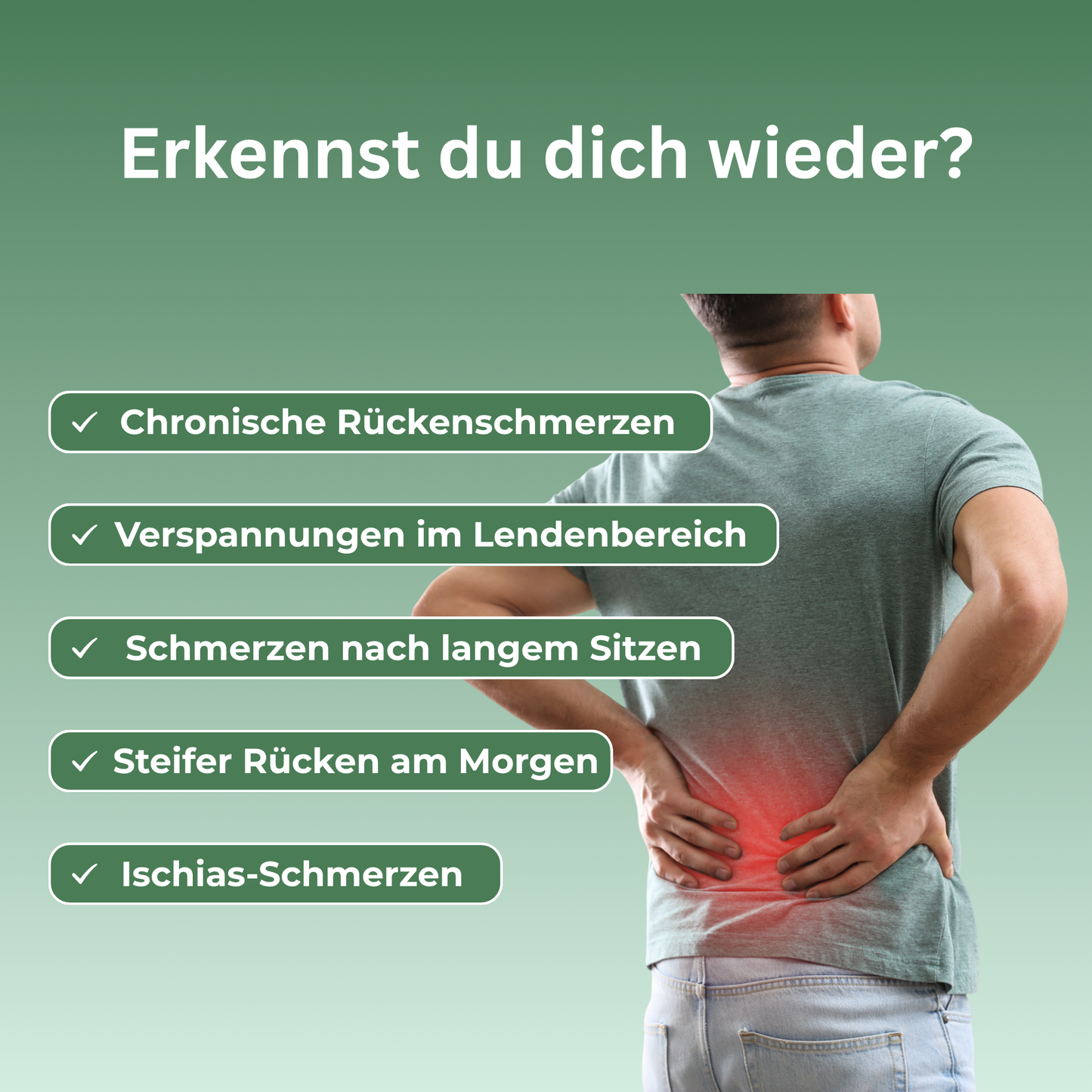 Rückenpuls Pro™